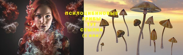 гашиш Алексеевка